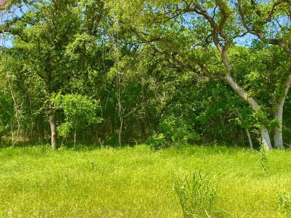 Lot 48 Antrim Court Poolville TX 76487