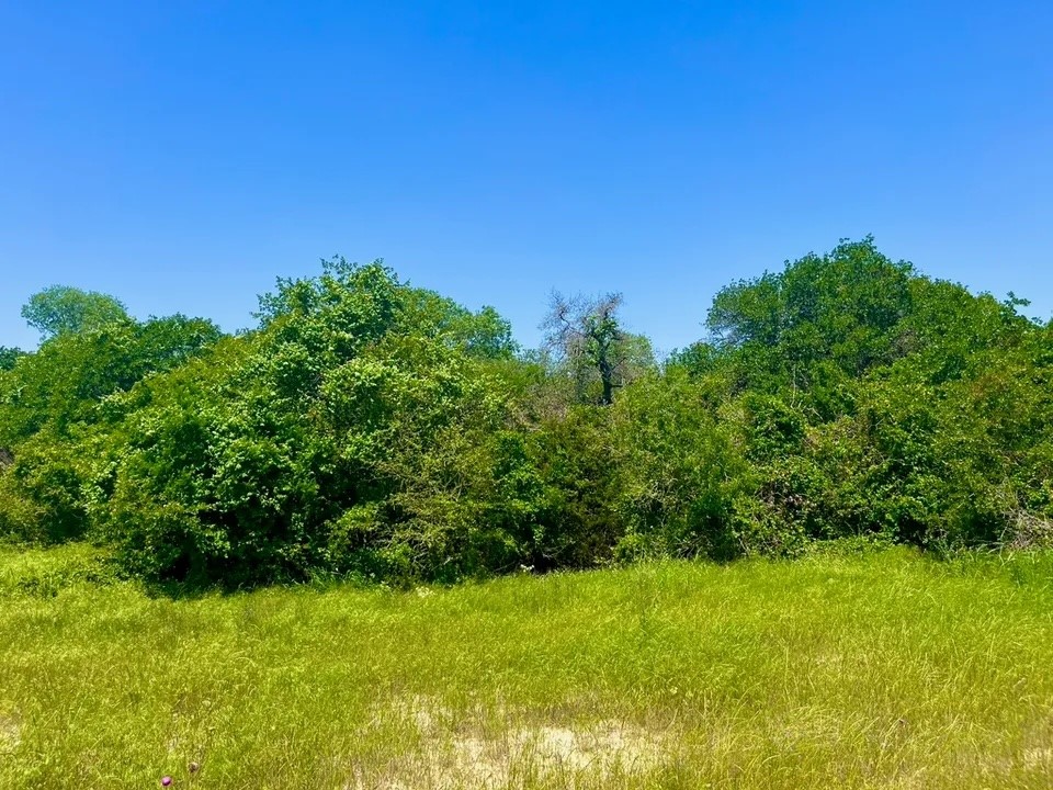 Lot 48 Antrim Court Poolville TX 76487