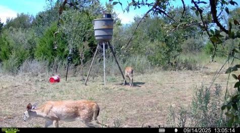 13762 SW Fm 639 Barry TX 75102