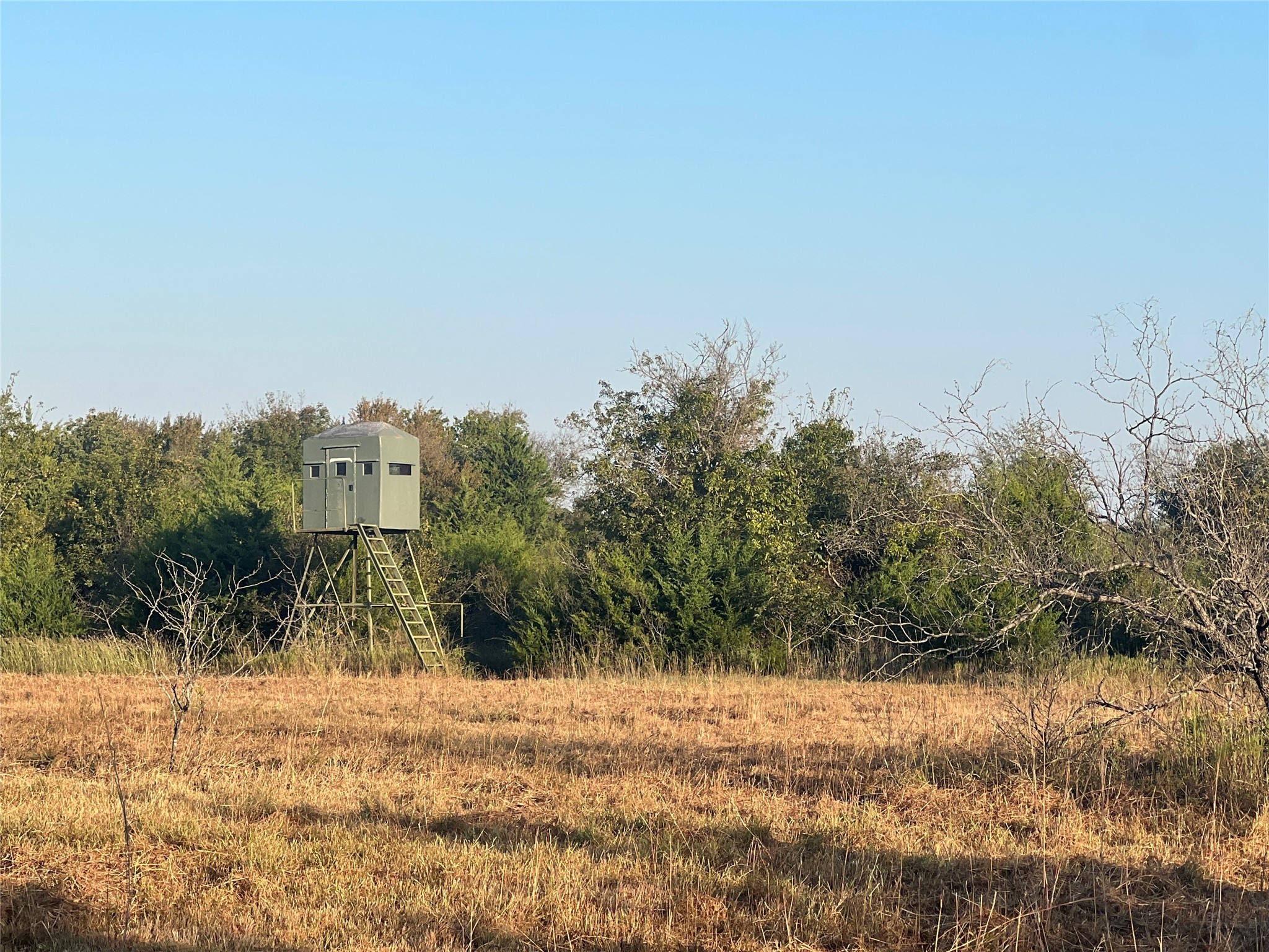 13762 SW Fm 639 Barry TX 75102