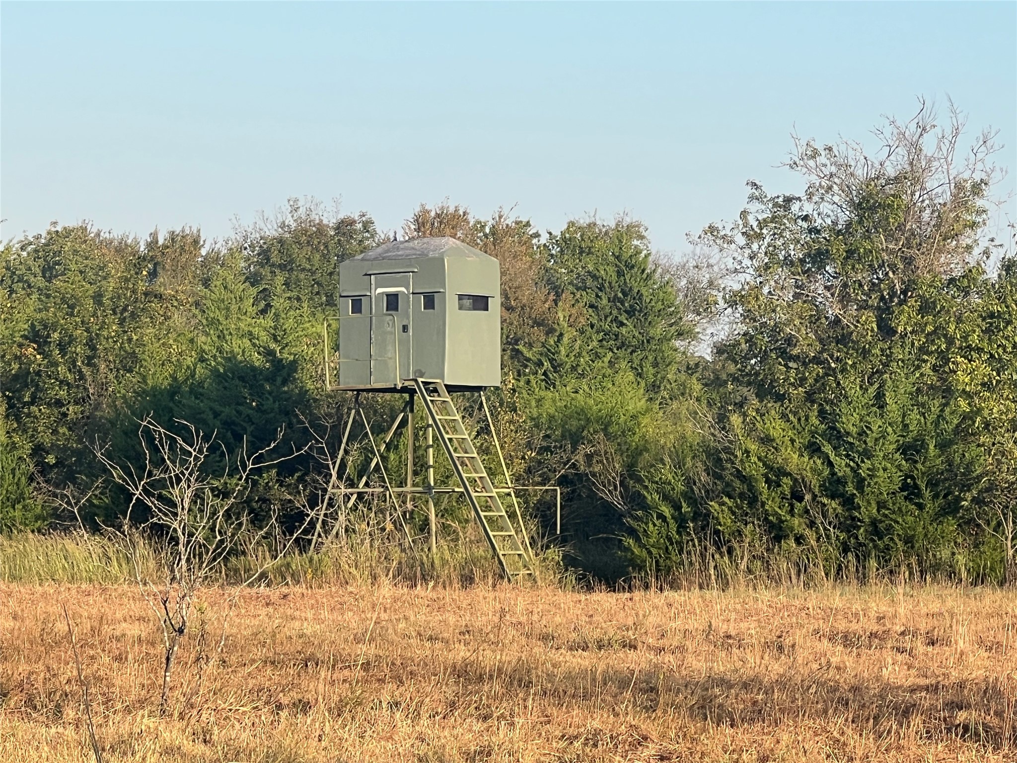13762 SW Fm 639 Barry TX 75102