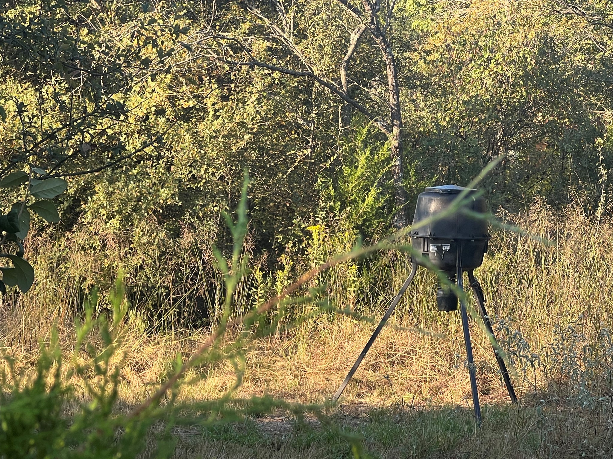 13762 SW Fm 639 Barry TX 75102