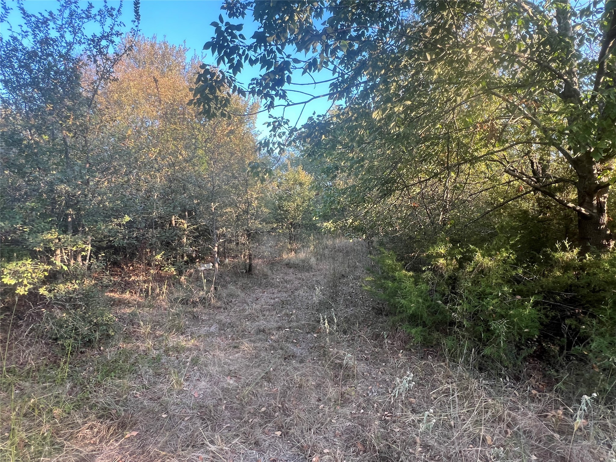 13762 SW Fm 639 Barry TX 75102