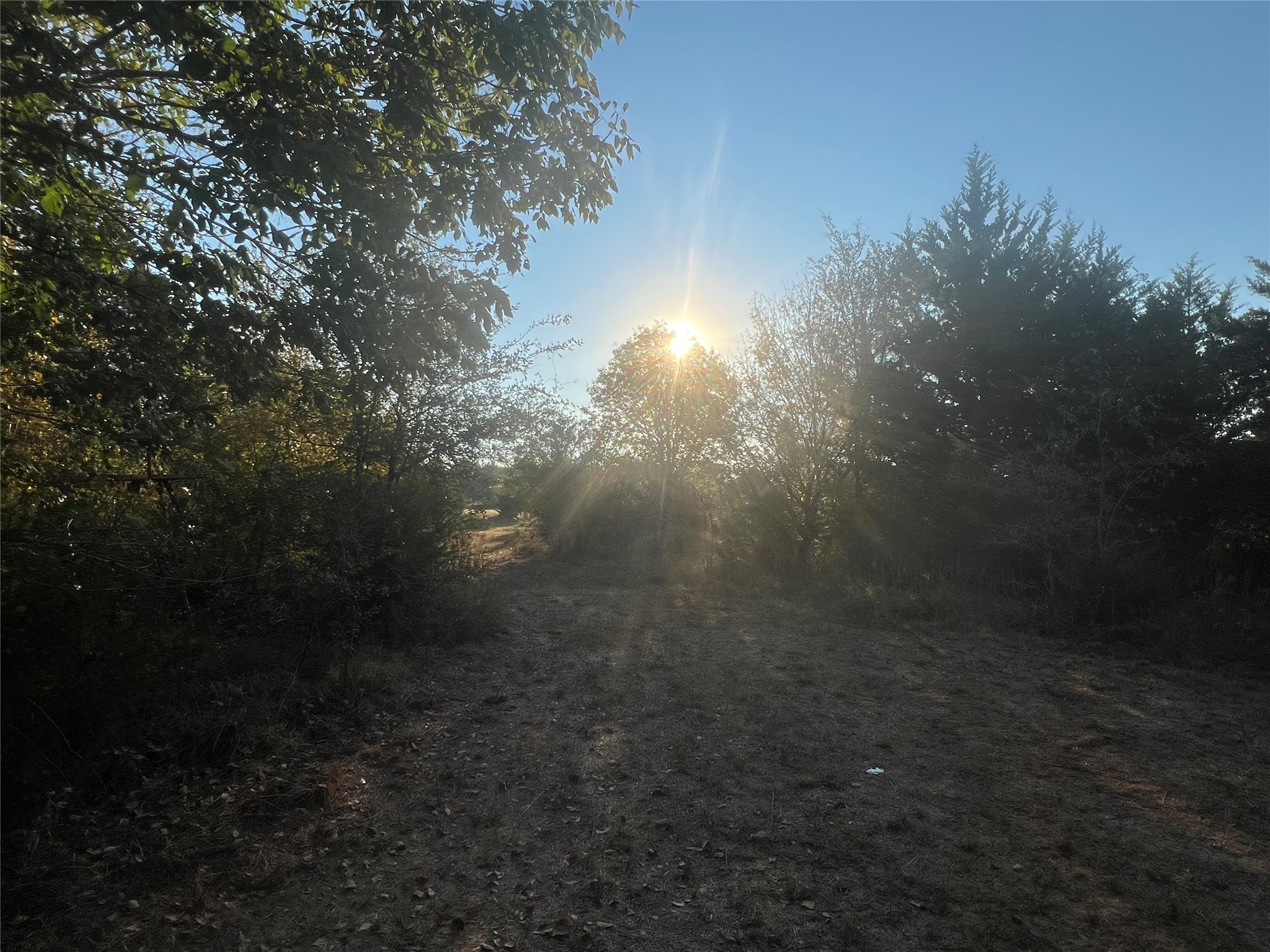 13762 SW Fm 639 Barry TX 75102
