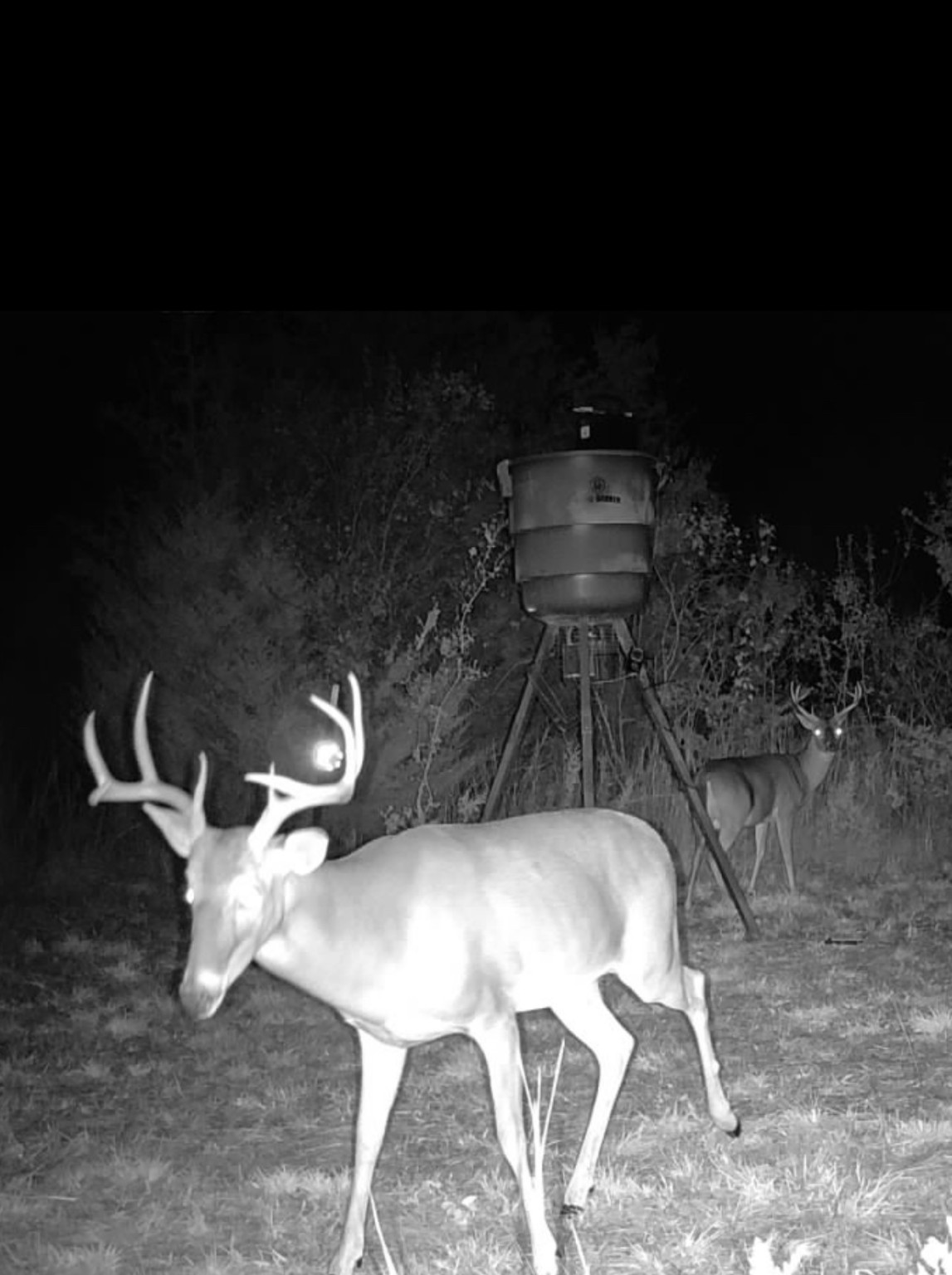 13762 SW Fm 639 Barry TX 75102