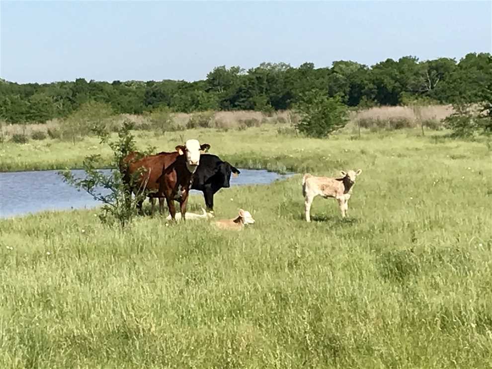 Tbd S Fm148 Street Crandall TX 75114