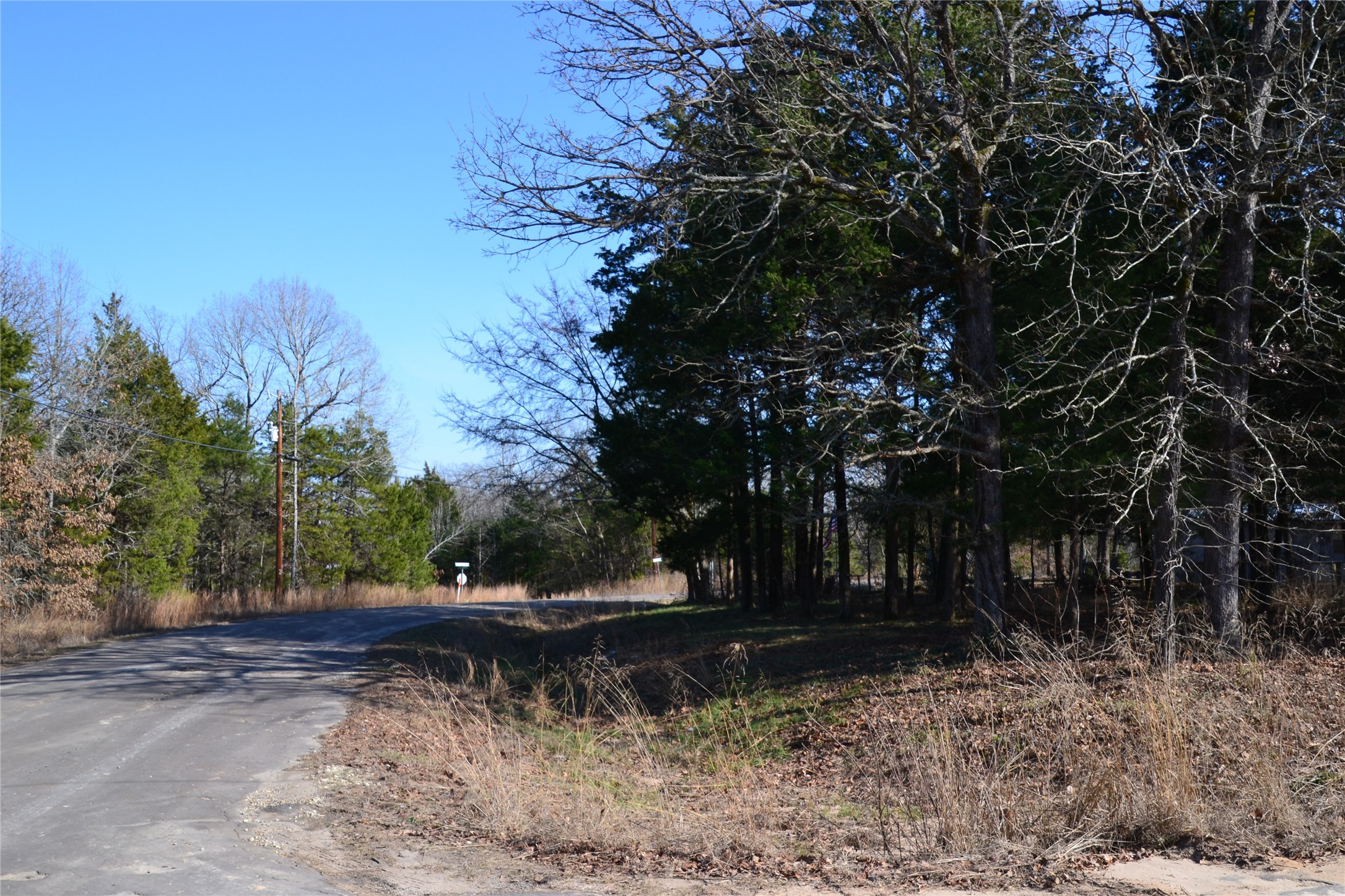 0000 Sweetgum Drive Murchison TX 75778