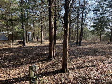 0000 Sweetgum Drive Murchison TX 75778