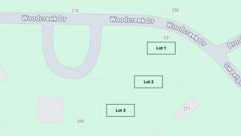 0000 Sweetgum Drive Murchison TX 75778