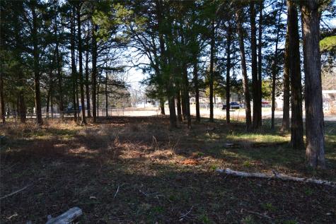 0000 Sweetgum Drive Murchison TX 75778