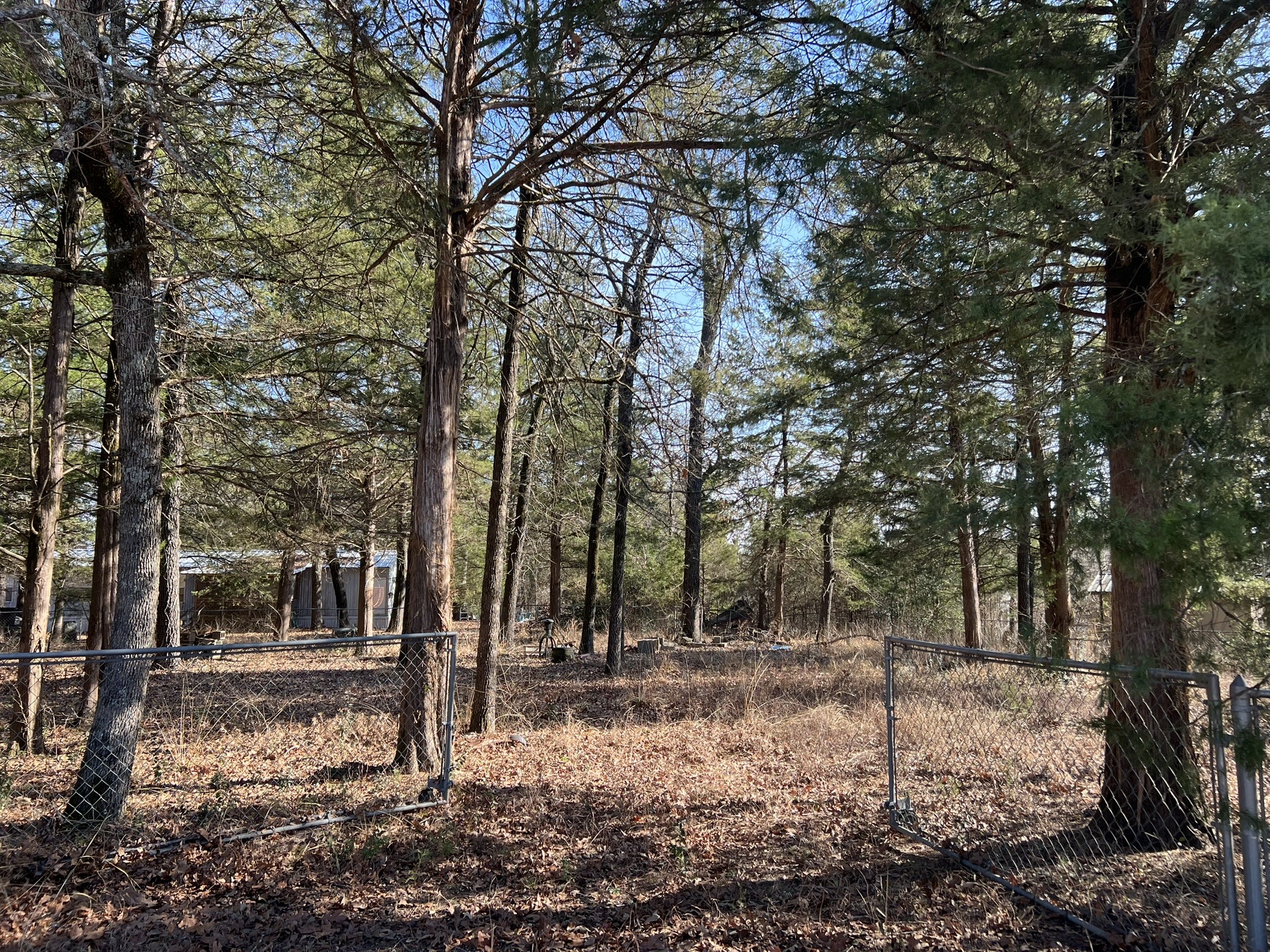 0000 Sweetgum Drive Murchison TX 75778