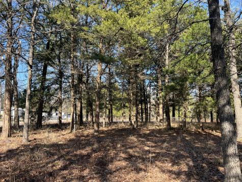 0000 Sweetgum Drive Murchison TX 75778