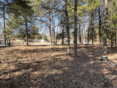 0000 Sweetgum Drive Murchison TX 75778