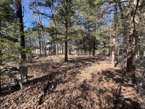 0000 Sweetgum Drive Murchison TX 75778