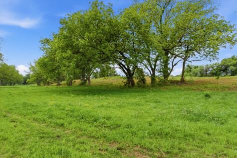 10501-7 Mitchell Bend Court Granbury TX 76048