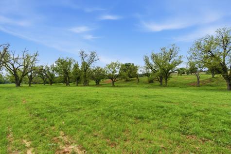 10501-7 Mitchell Bend Court Granbury TX 76048