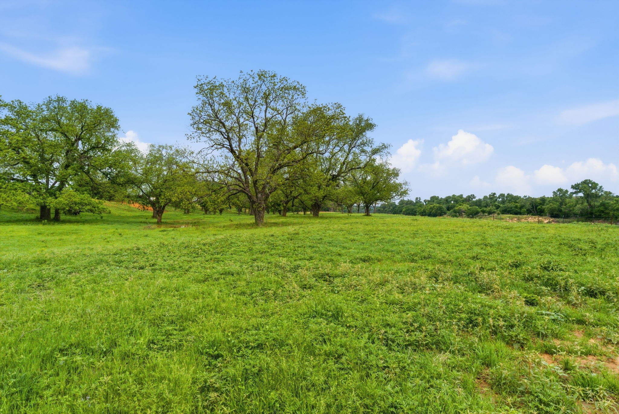 10501-7 Mitchell Bend Court Granbury TX 76048