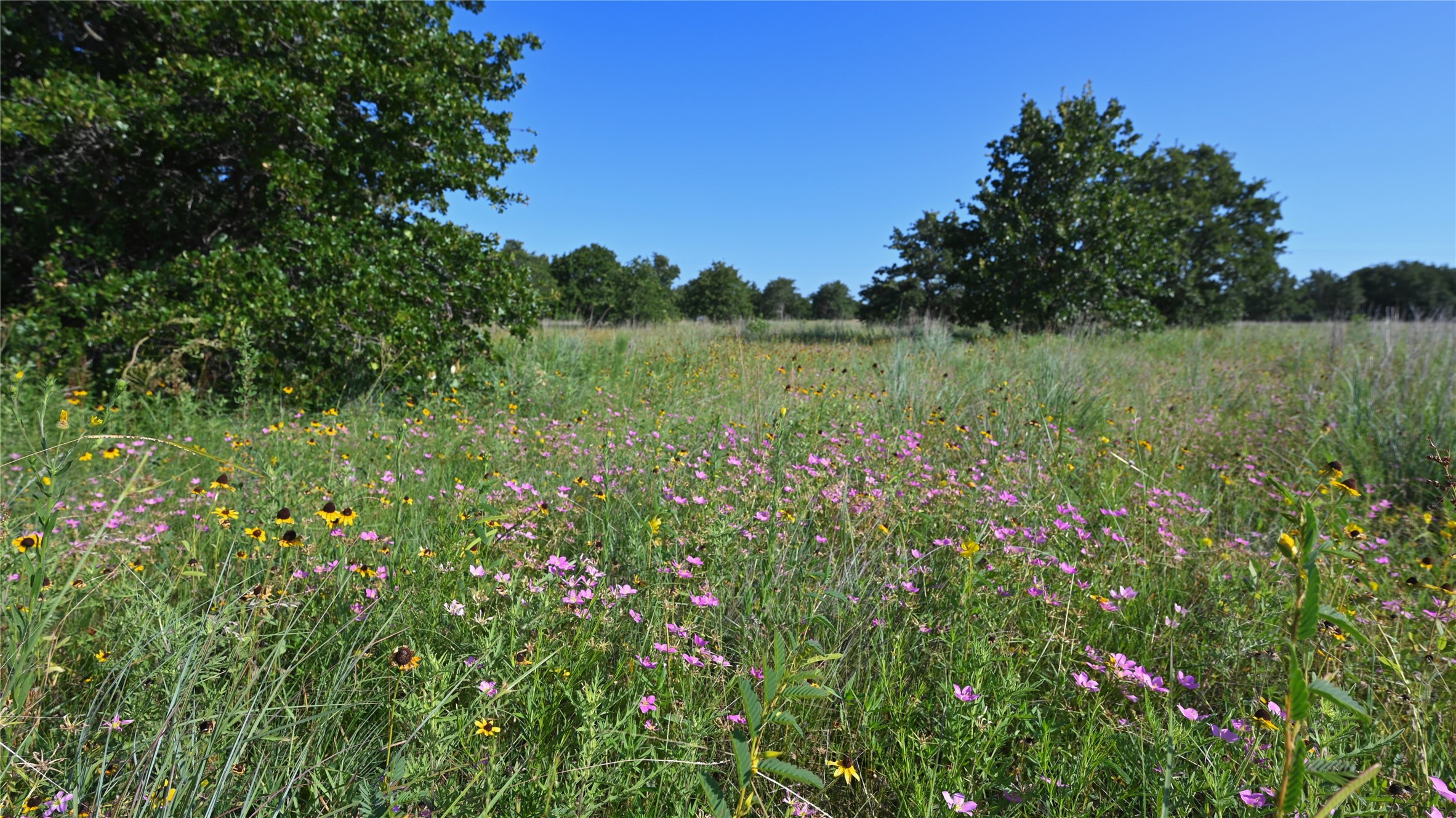 0000 Ten Point Road Nocona TX 76255