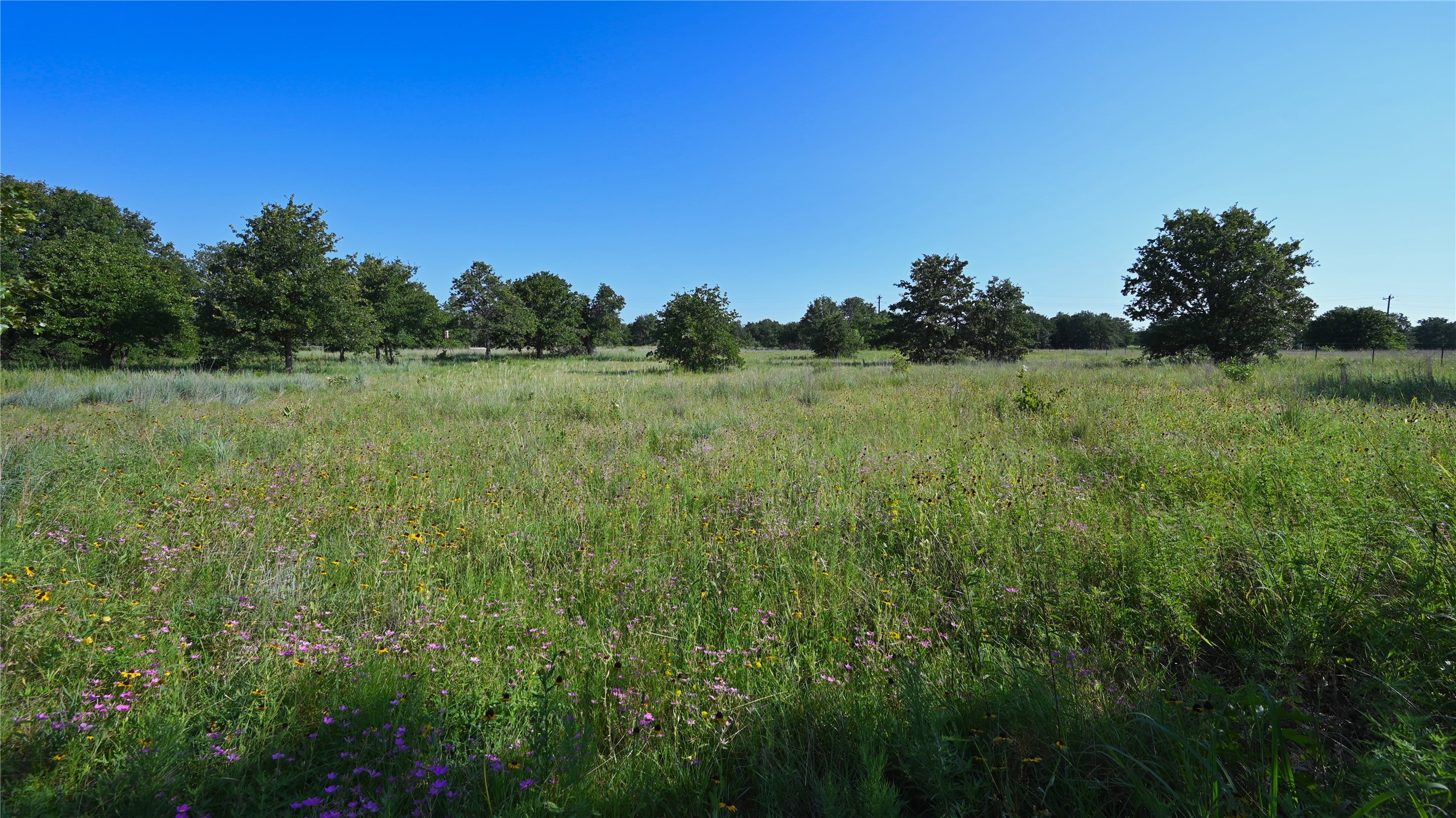 0000 Ten Point Road Nocona TX 76255