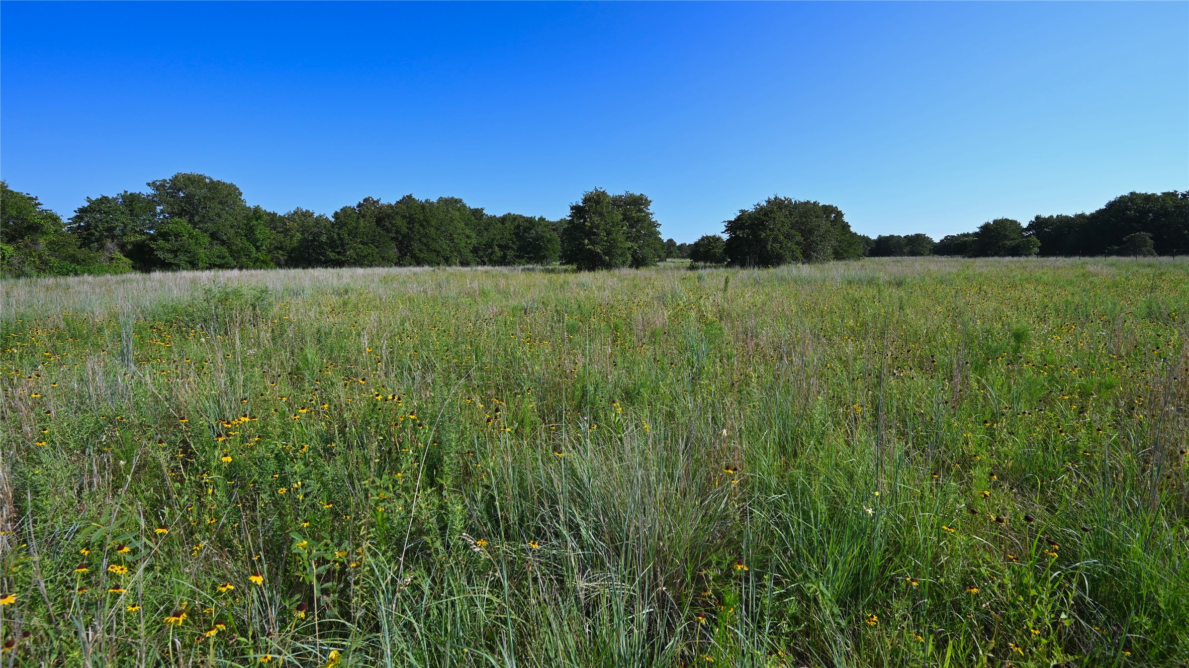 0000 Ten Point Road Nocona TX 76255