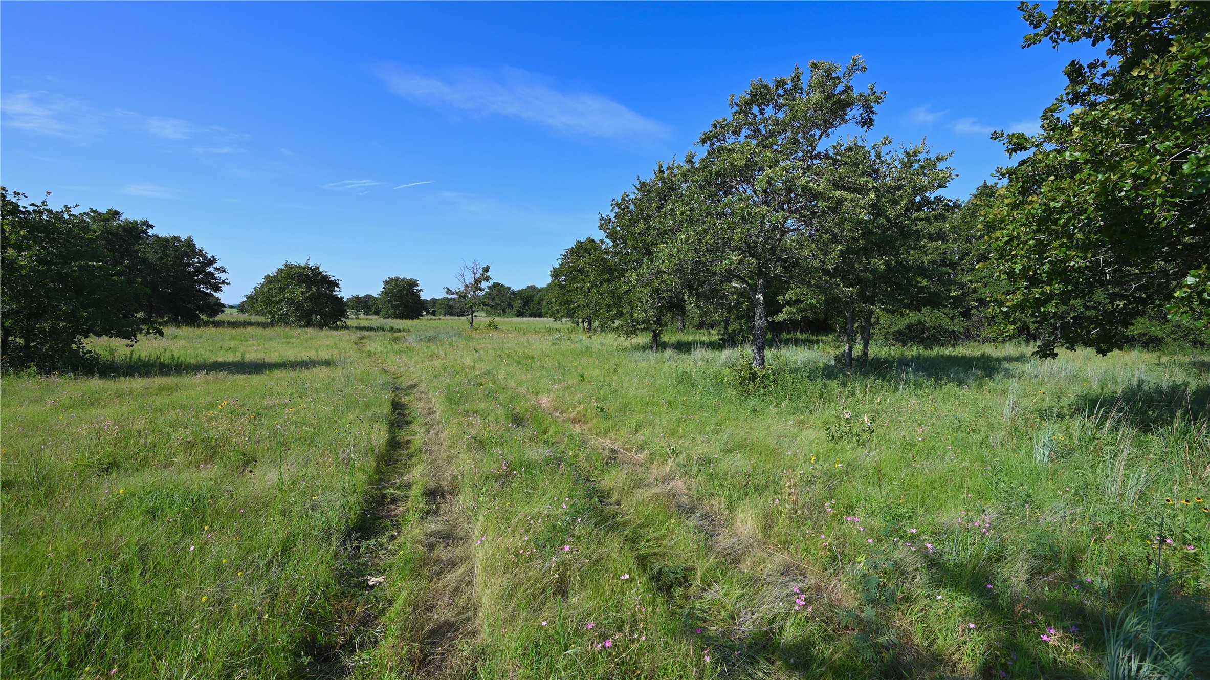 0000 Ten Point Road Nocona TX 76255