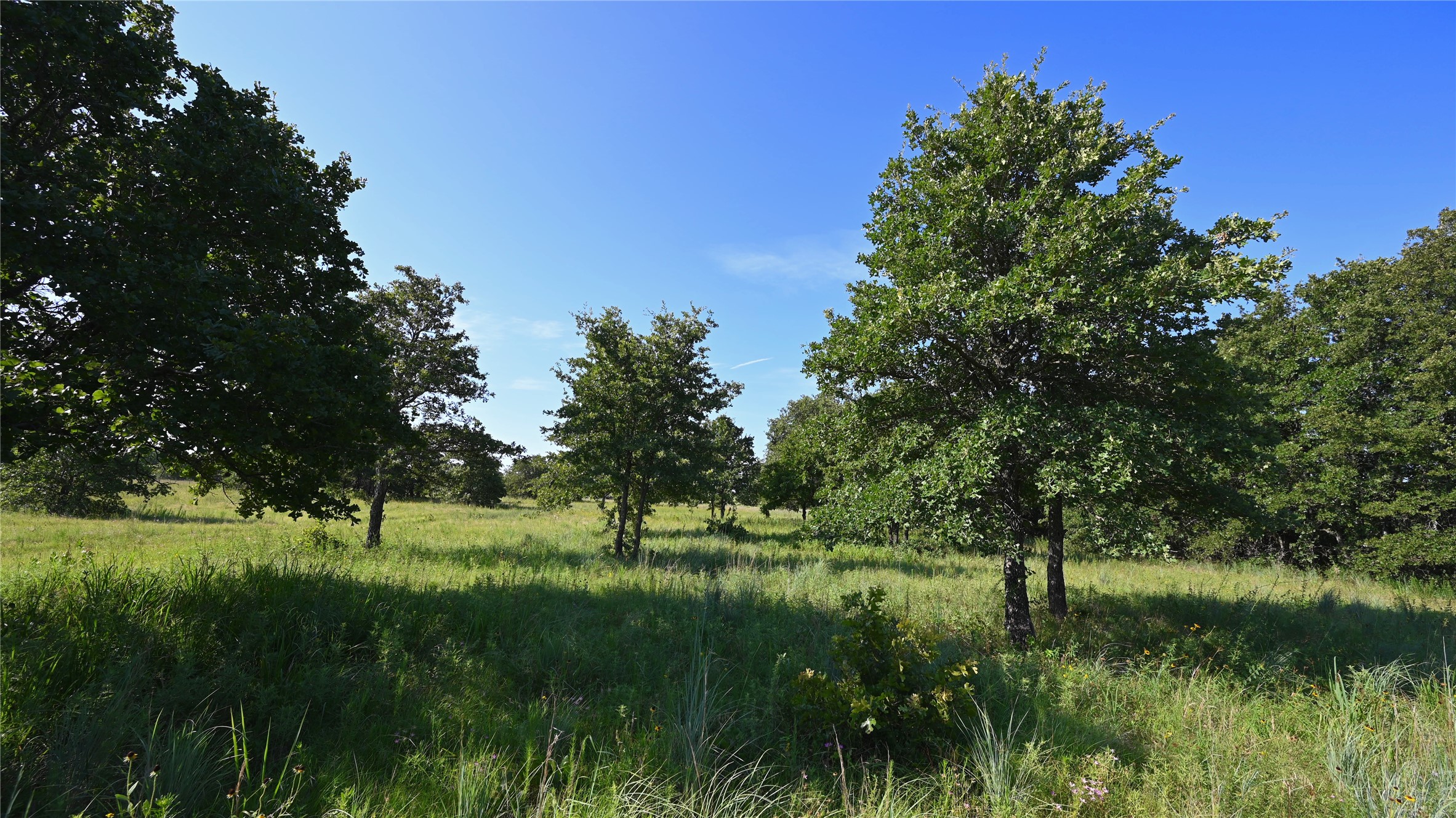 0000 Ten Point Road Nocona TX 76255