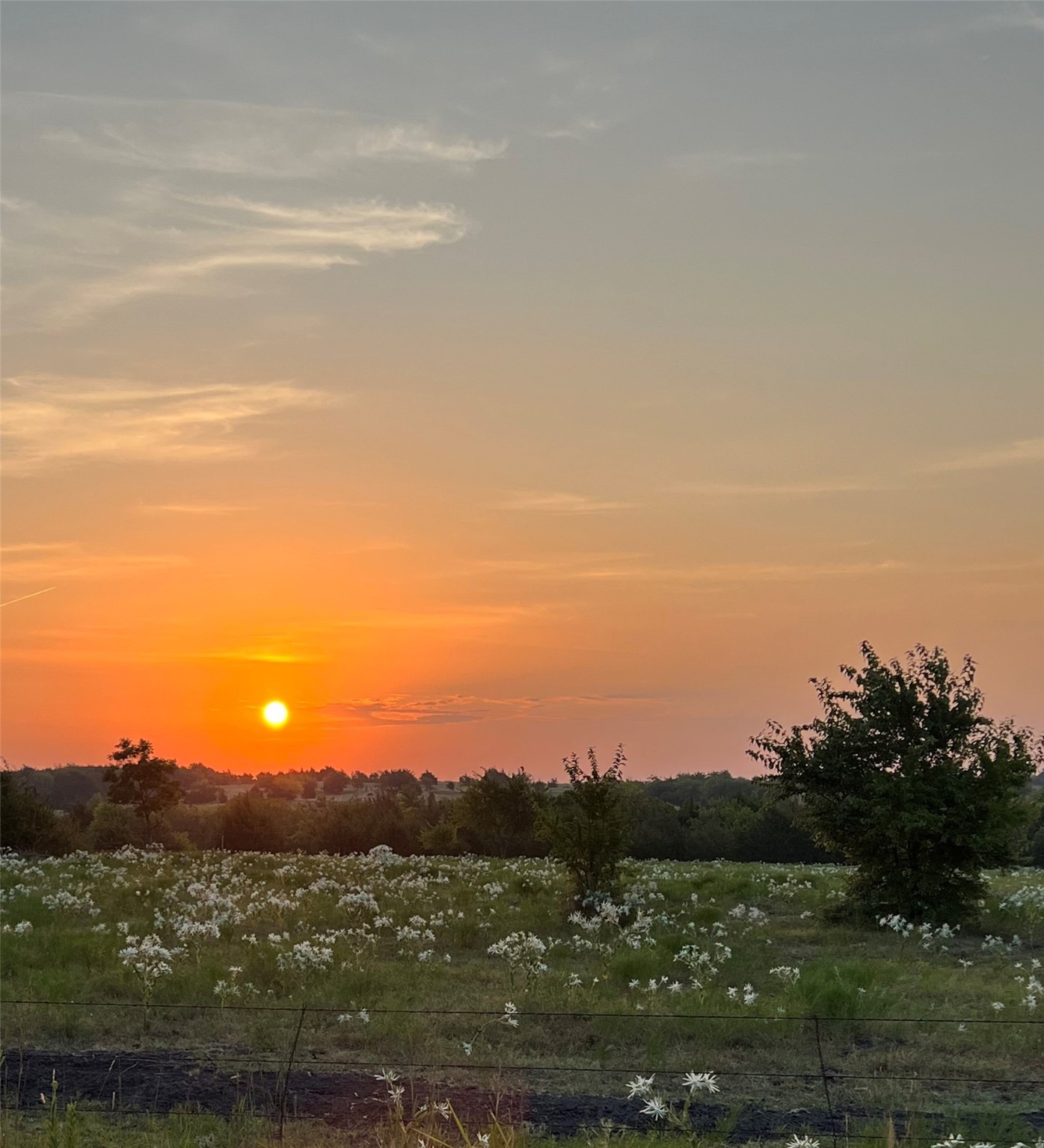 Tbd Lot 2 County Road 703 Farmersville TX 75442