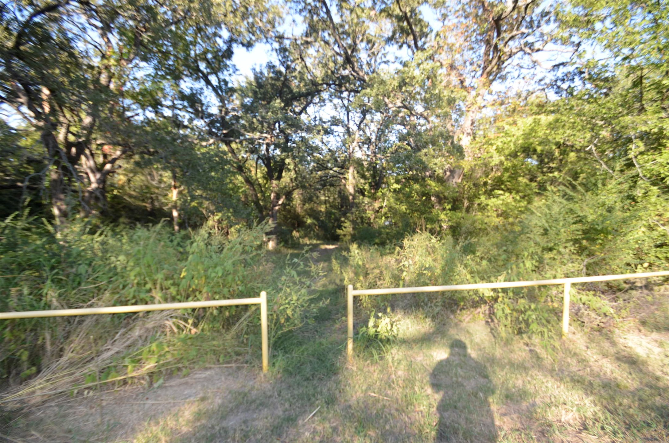 1125 Lake Road Gordonville TX 76245