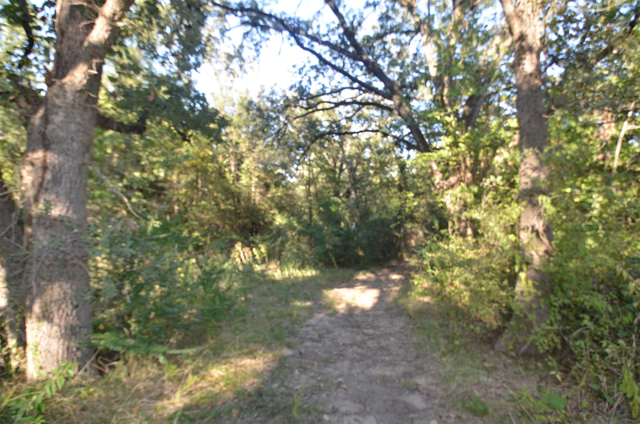 1125 Lake Road Gordonville TX 76245