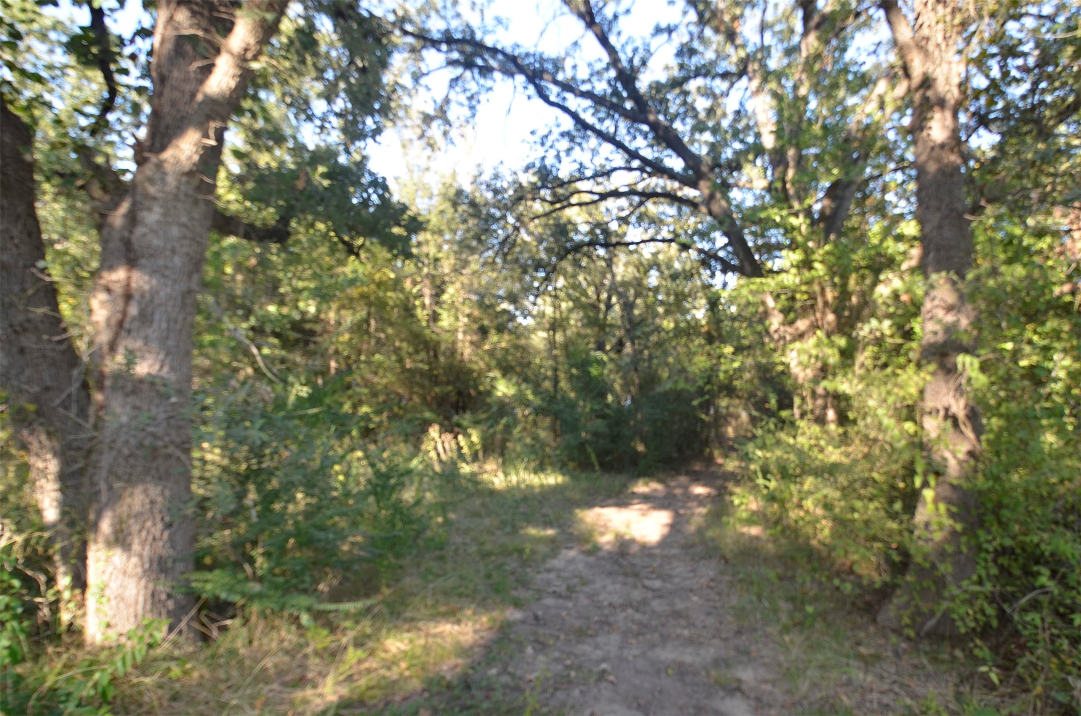 1125 Lake Road Gordonville TX 76245