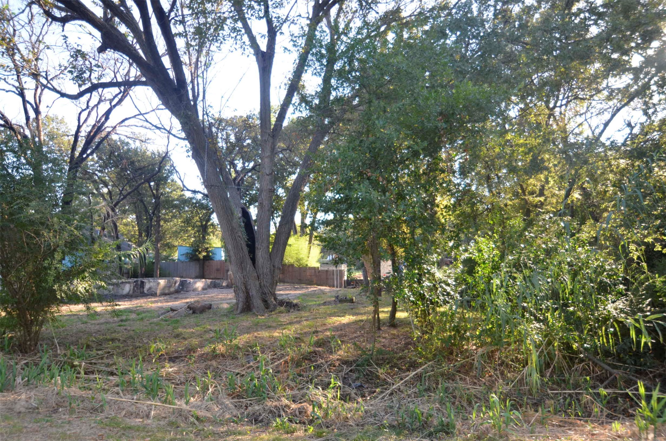 1125 Lake Road Gordonville TX 76245