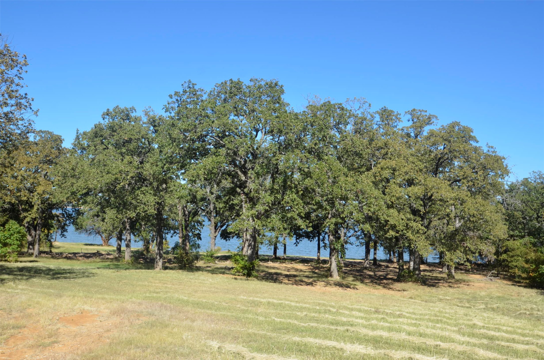 1125 Lake Road Gordonville TX 76245