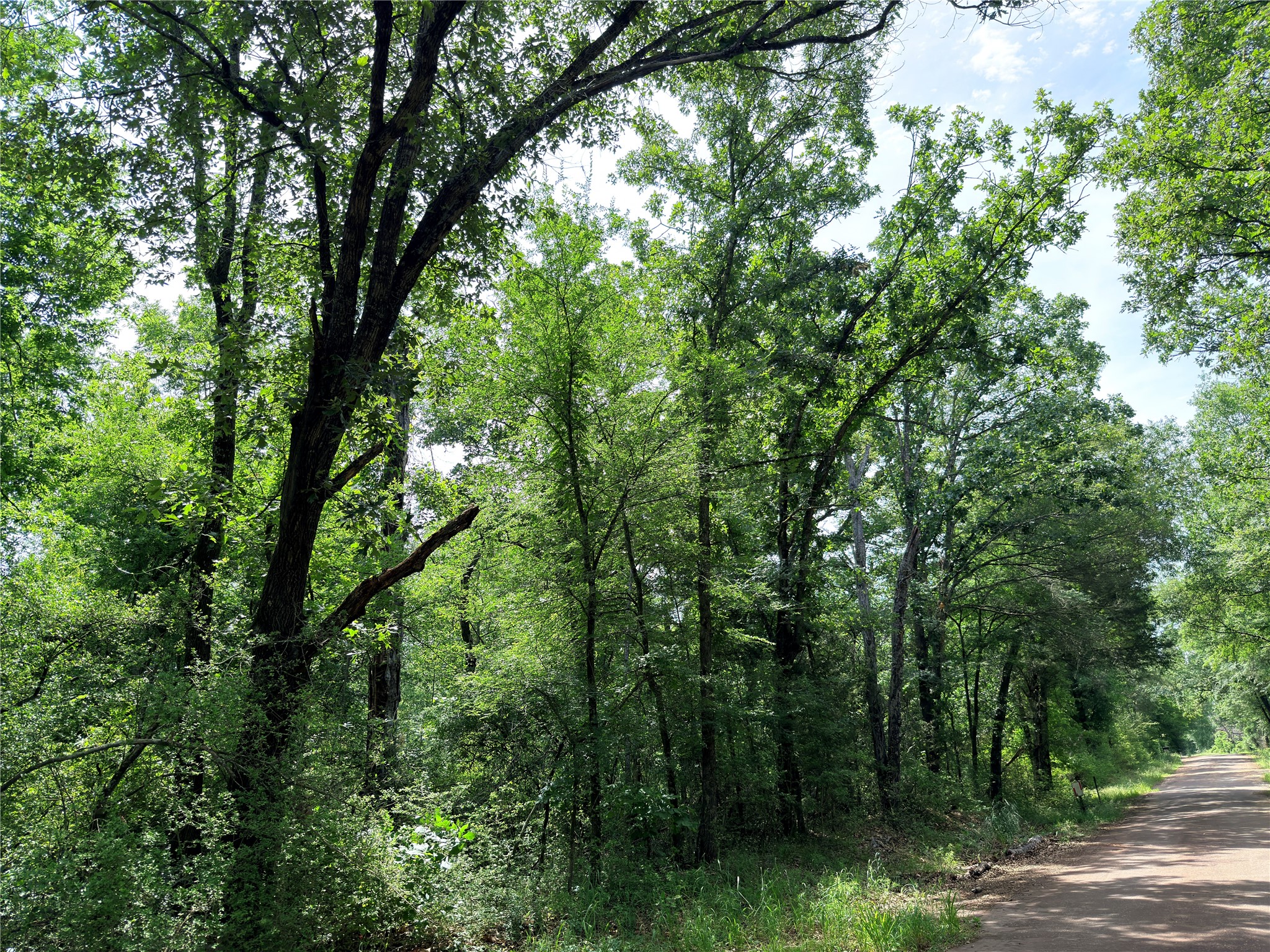 Tbd Cr 261 Oakwood TX 75855