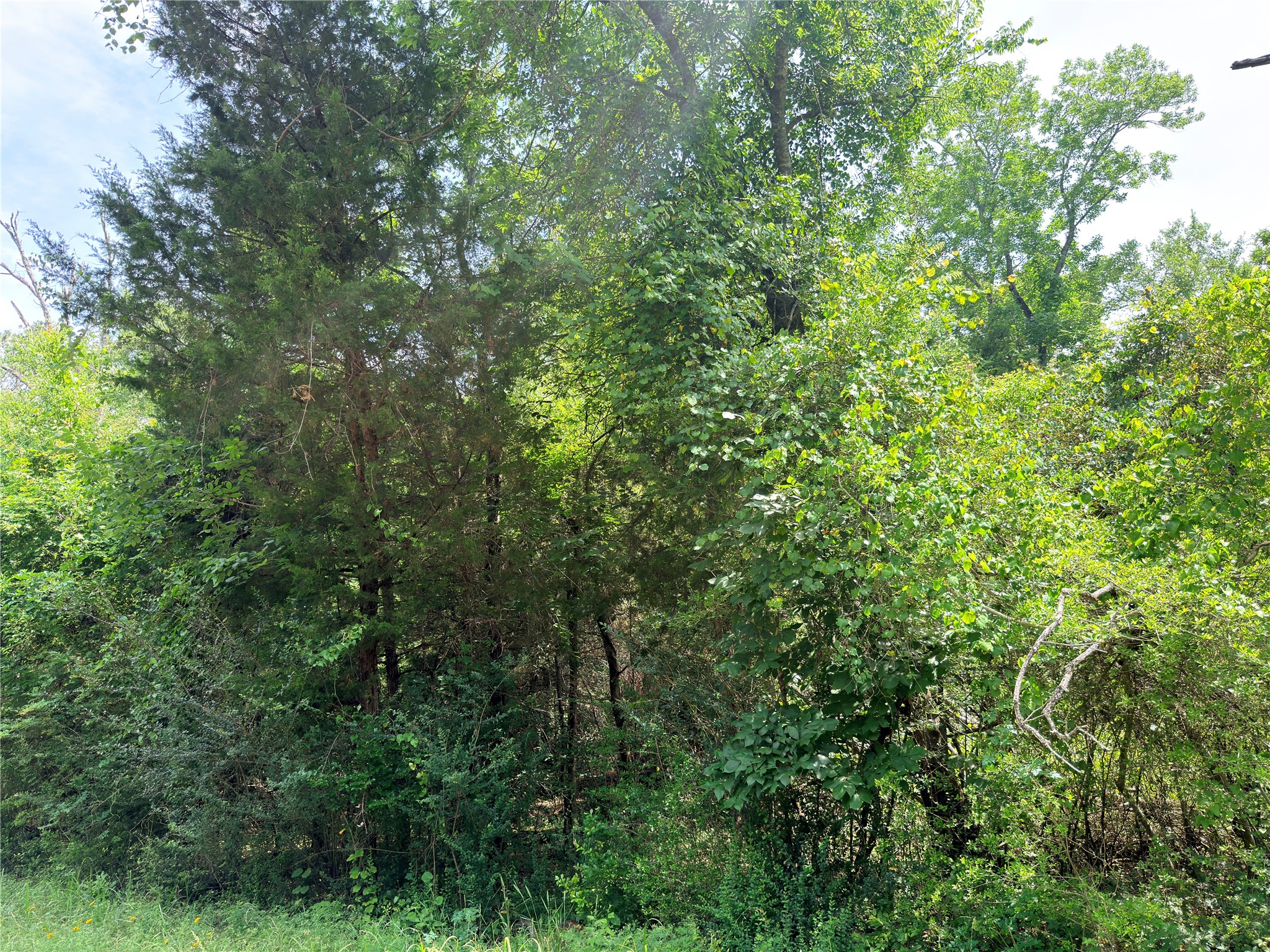Tbd Cr 261 Oakwood TX 75855