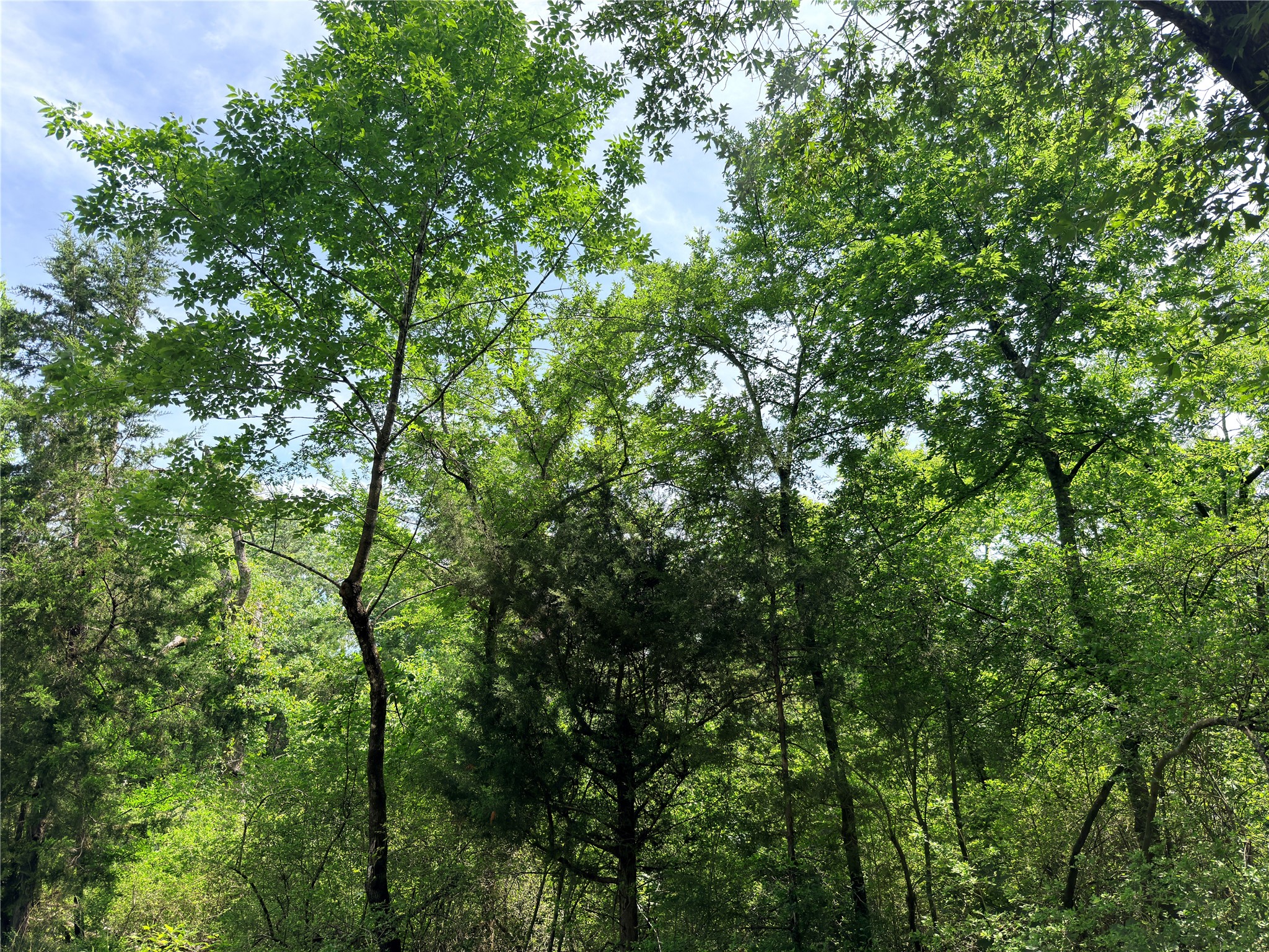 Tbd Cr 261 Oakwood TX 75855