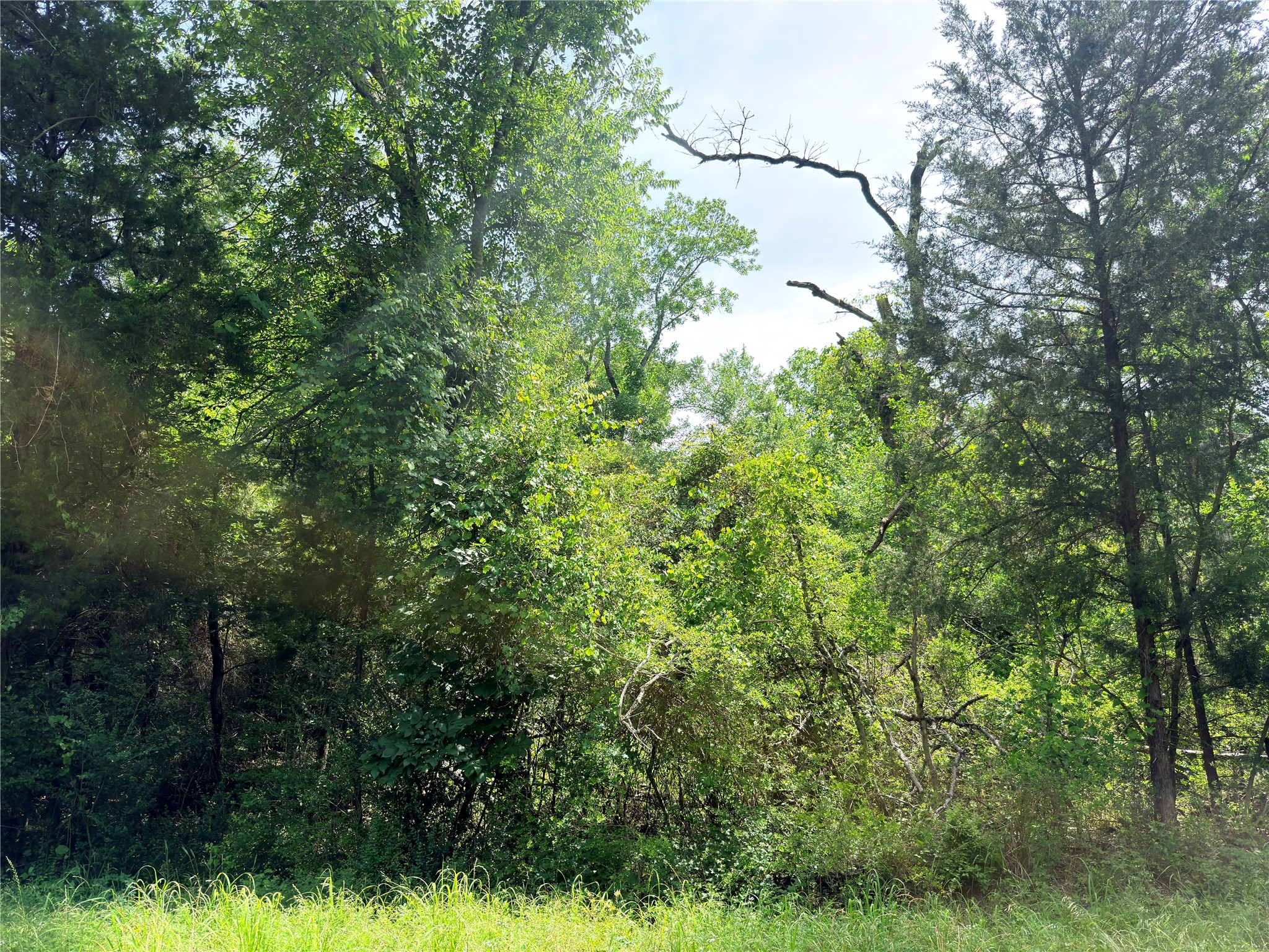 Tbd Cr 261 Oakwood TX 75855