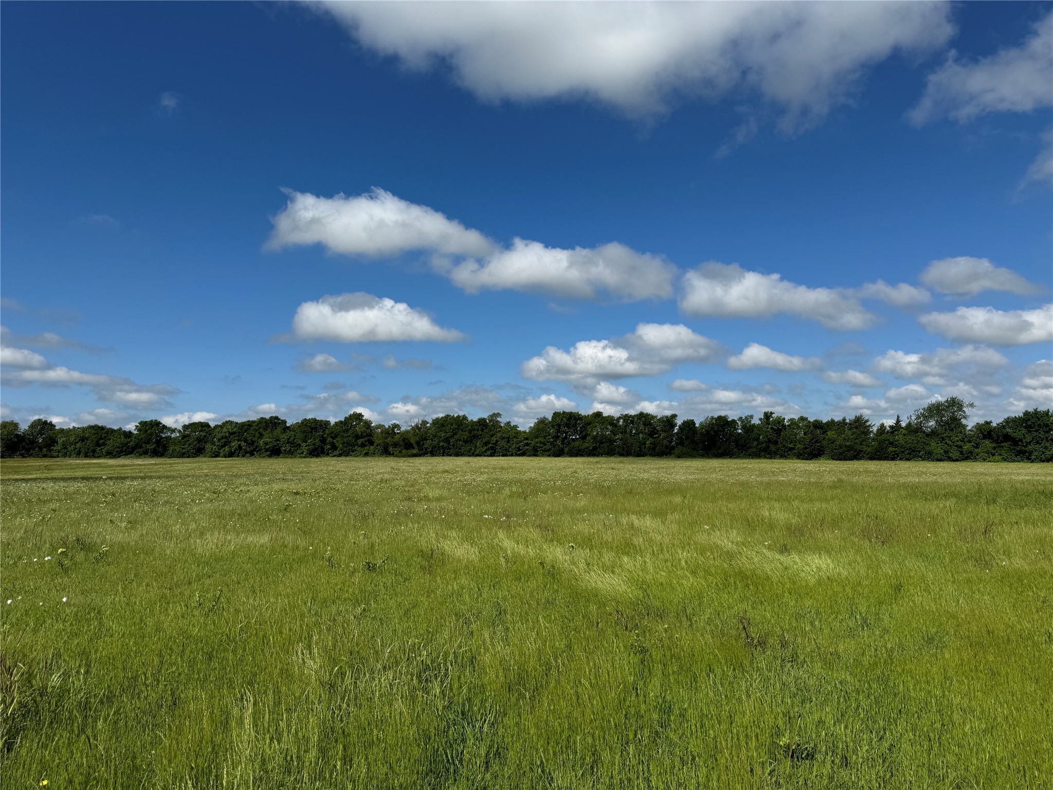 Lot 2 Tribble Road Sherman TX 75090