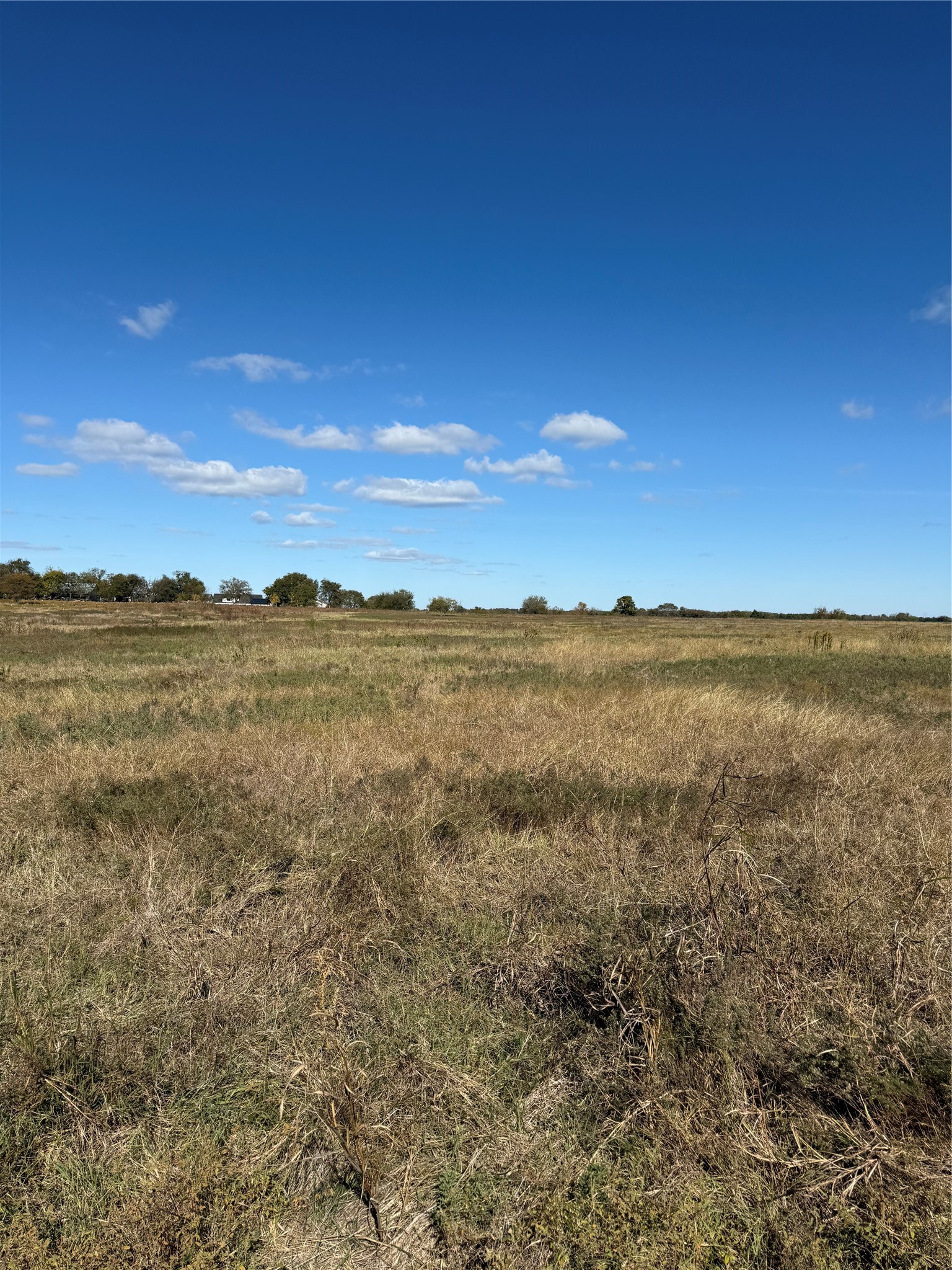 Tbd Angus Road Pottsboro TX 75076