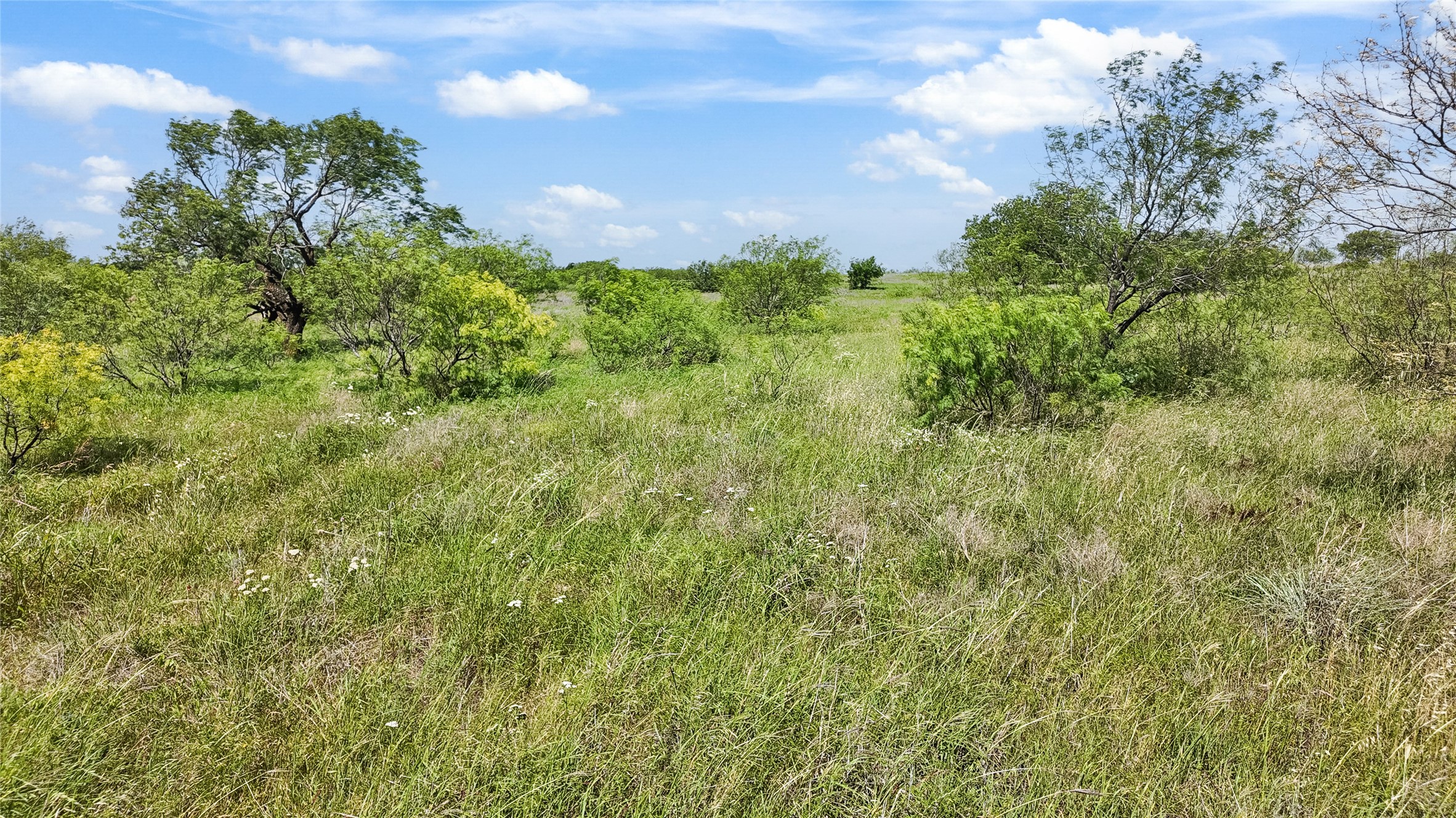 16209 Fm 1816 Nocona TX 76255