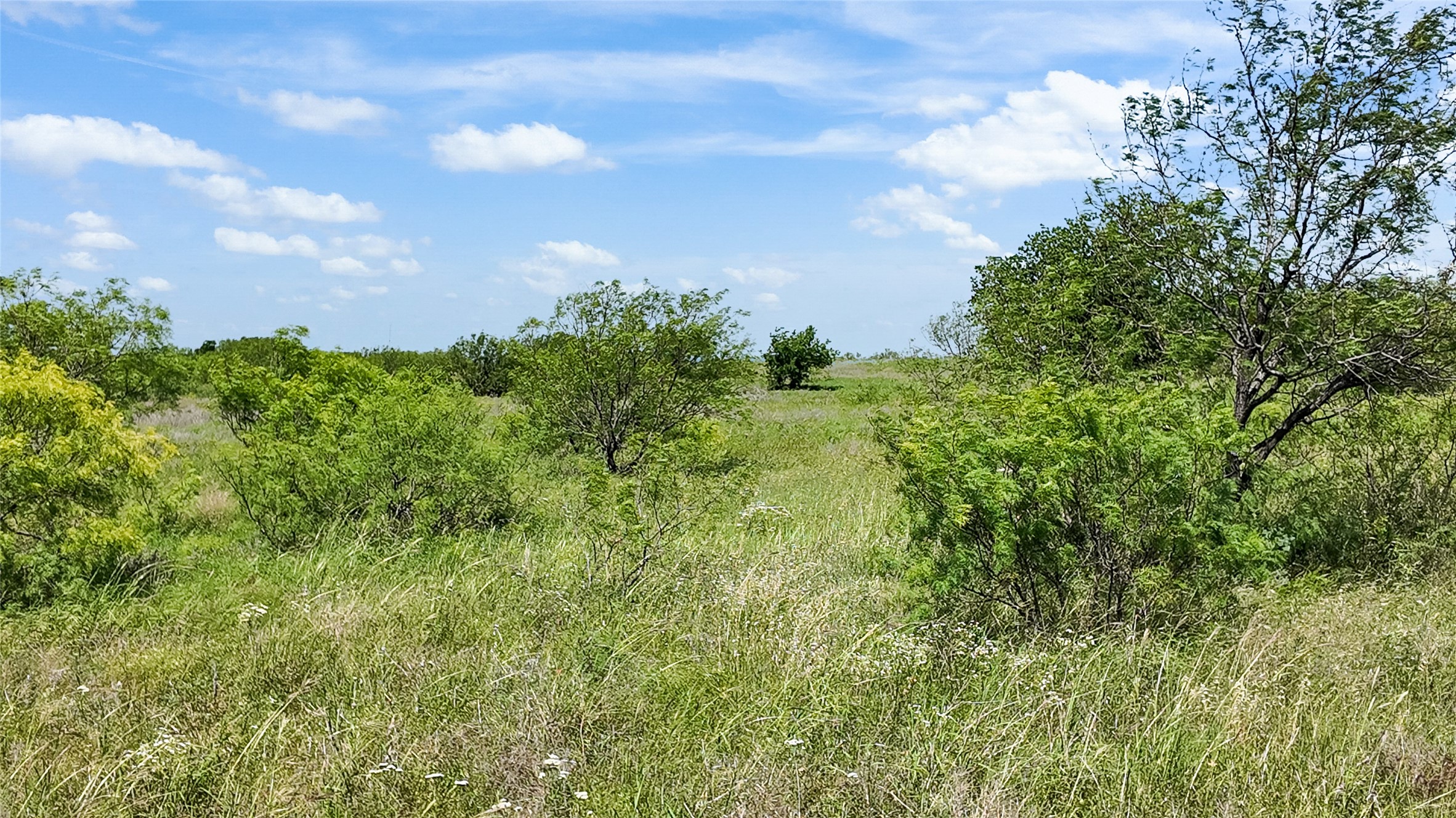 16209 Fm 1816 Nocona TX 76255