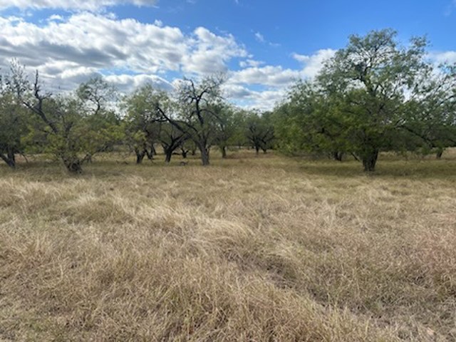 19098 White Bluff Drive Whitney TX 76692