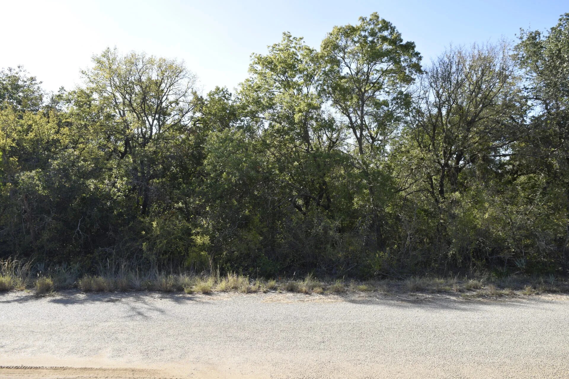 6908 Clover Leaf Drive Brownwood TX 76801