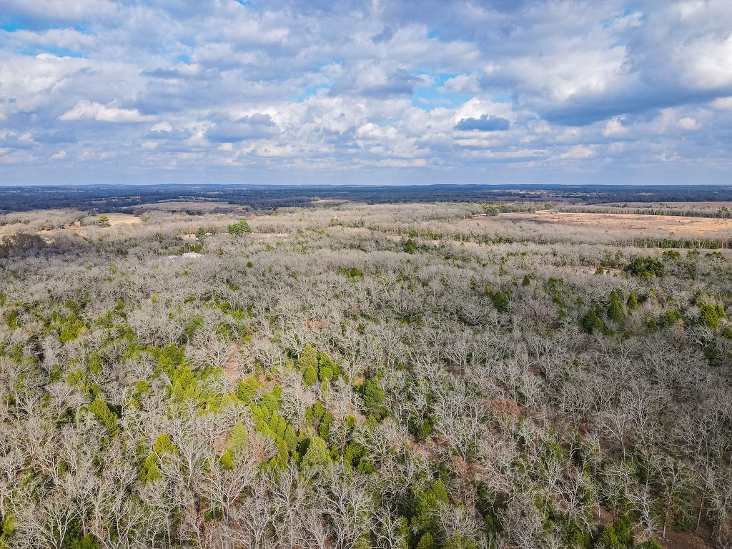 12802 Hidden Acres Road Eustace TX 75124