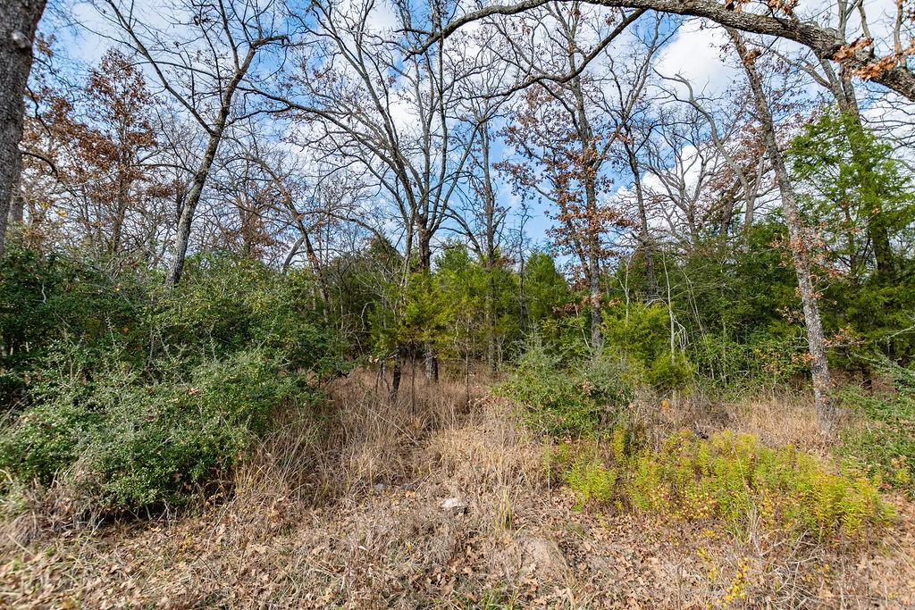 12802 Hidden Acres Road Eustace TX 75124