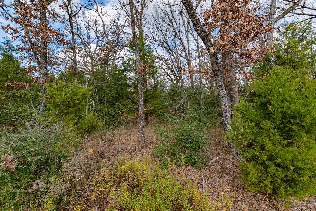 12802 Hidden Acres Road Eustace TX 75124