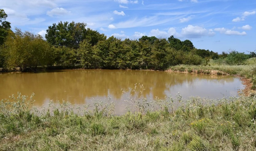 190 Private Road 408 Buffalo TX 75831