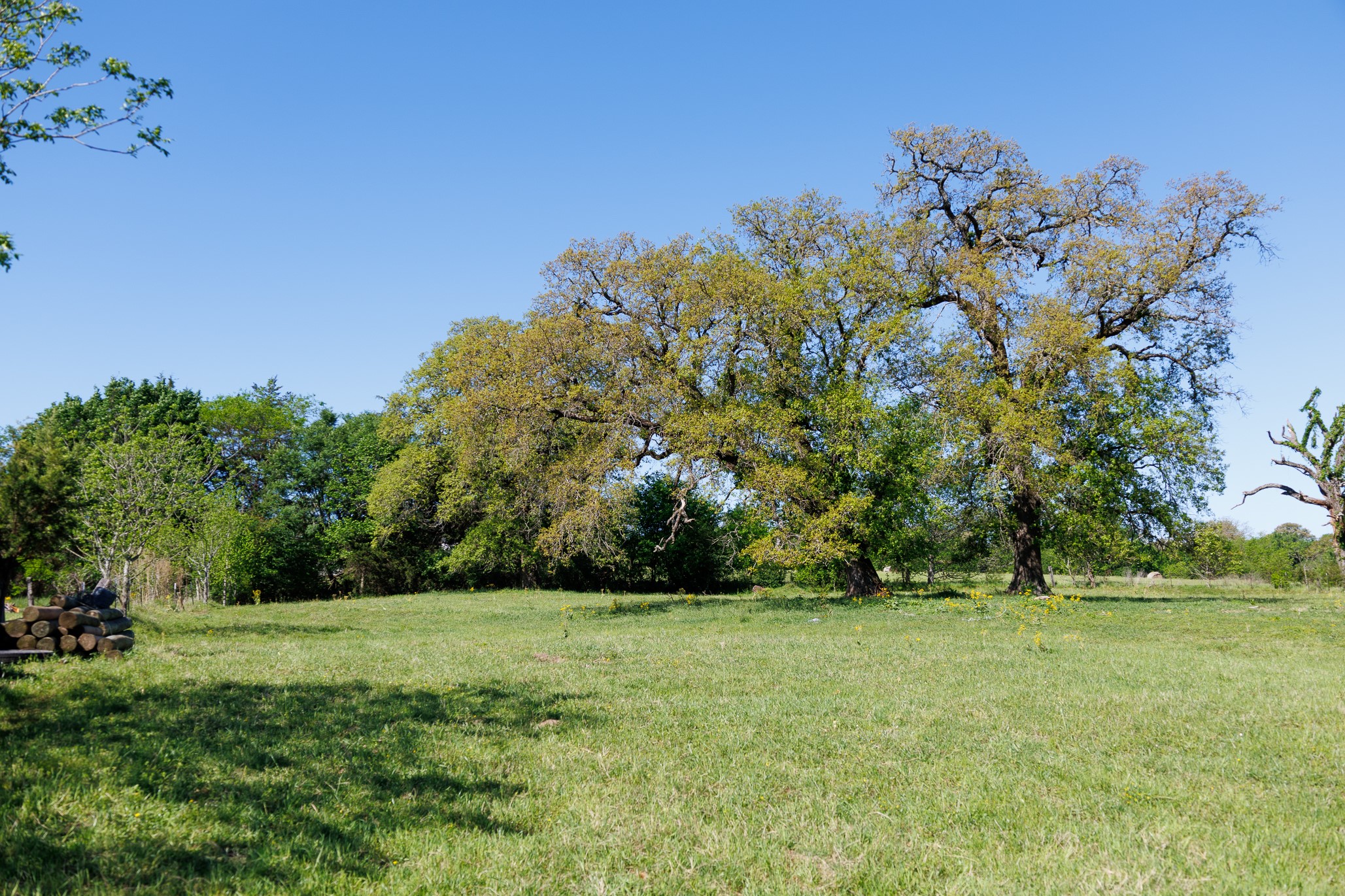 5973 Fm 344 E Tyler TX 75703