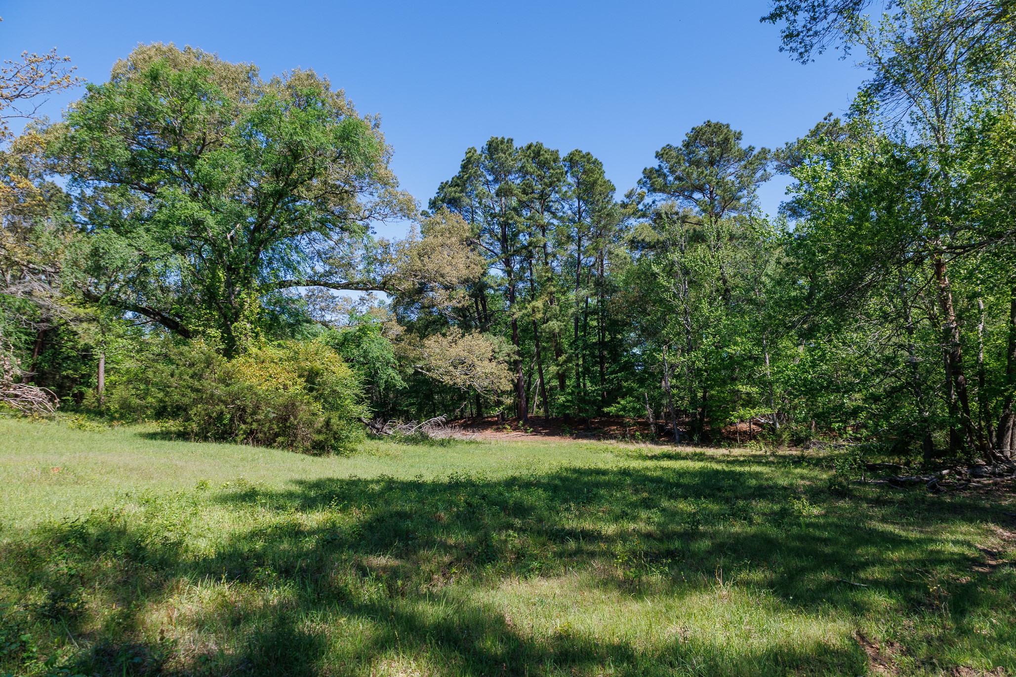 5973 Fm 344 E Tyler TX 75703