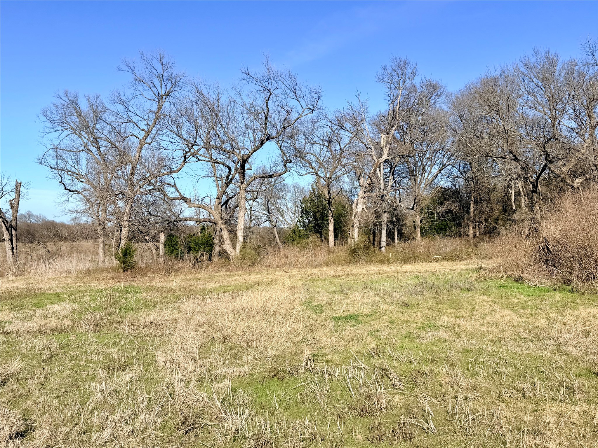 Tbd 117 Acres S Anthony Road Ennis TX 75119