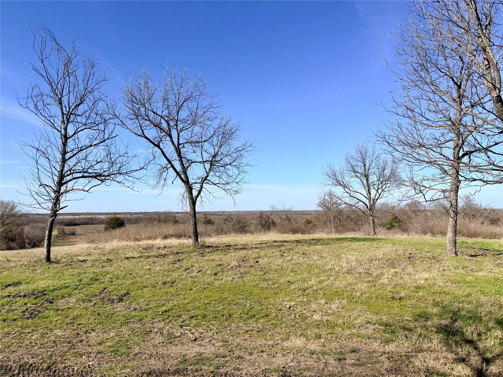 Tbd 117 Acres S Anthony Road Ennis TX 75119